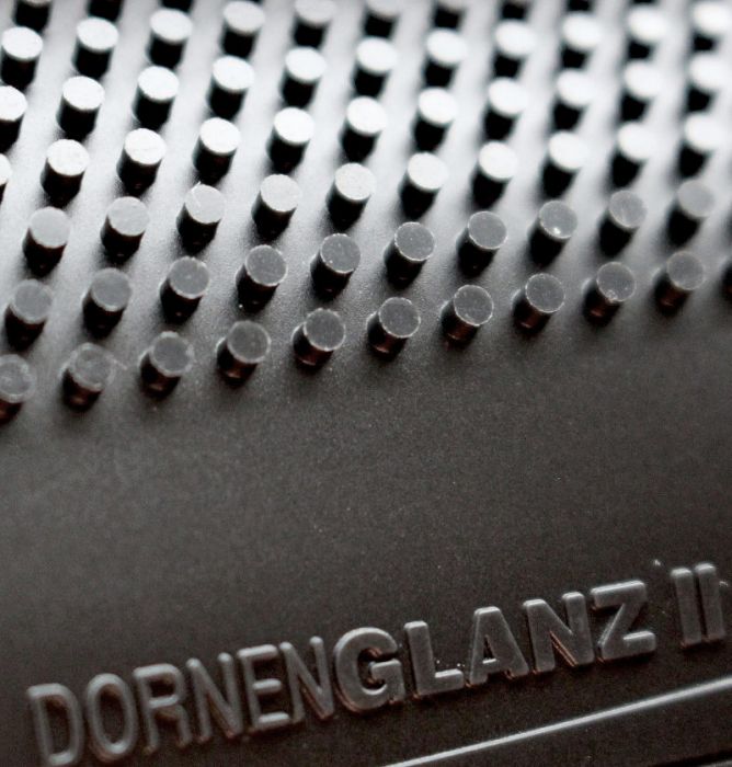 Spinlord Dornenglanz II