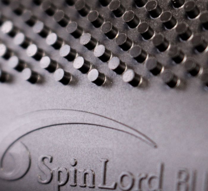 Spinlord blikseminslag